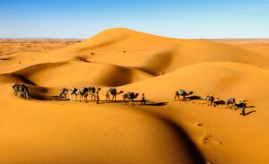 VIAJA DE MARRAKECH AL DESIERTO Y DORMÍ BAJO LAS ESTRELLAS  